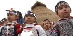 PUEBLOS INDIGENAS